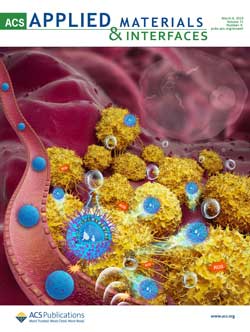 ACS Applied Materials & Interfaces 发表案例